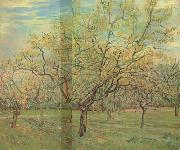 Vincent Van Gogh, The White Orchard (nn04)